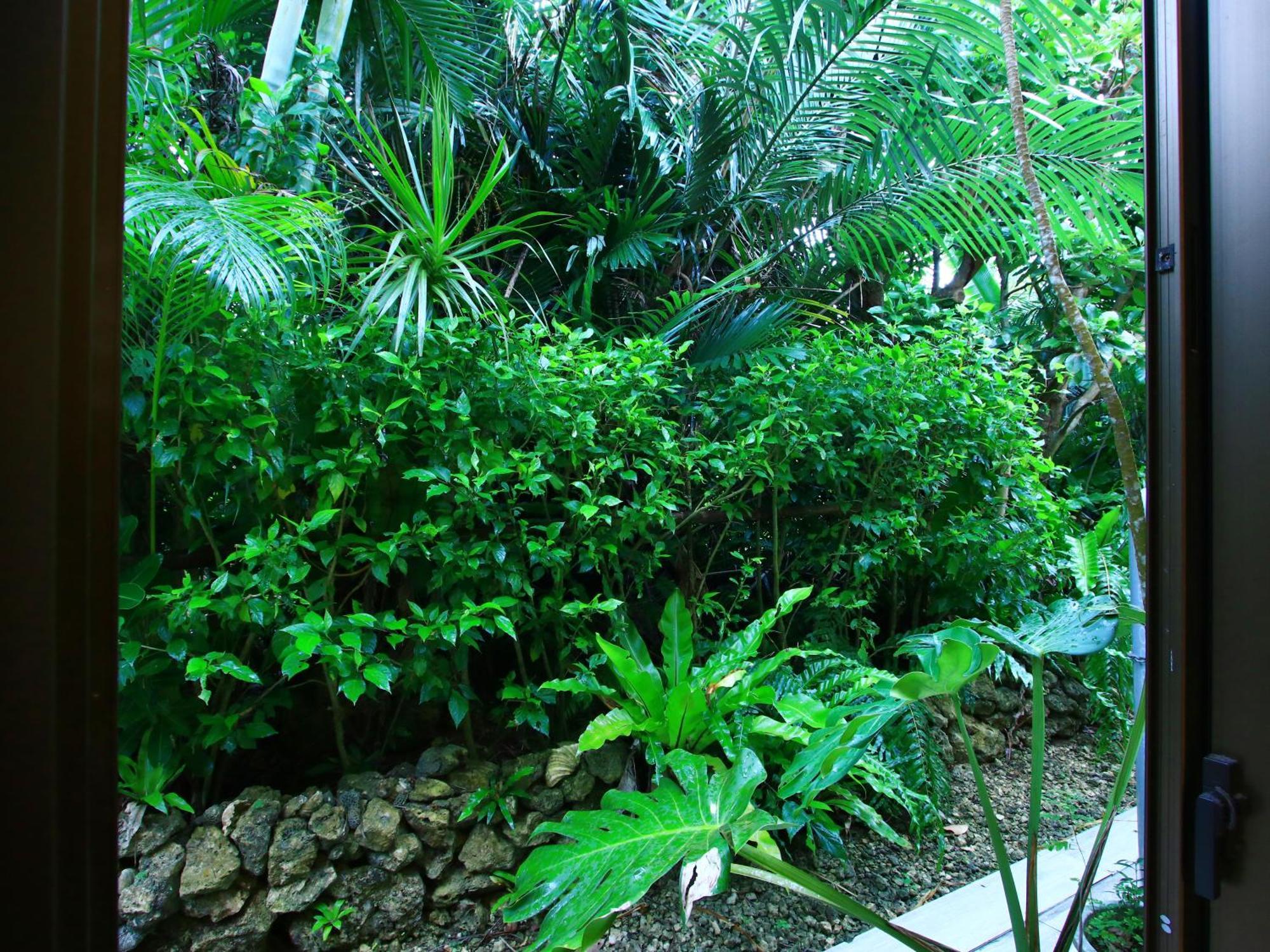 فيلا Kachibai Ishigaki  المظهر الخارجي الصورة